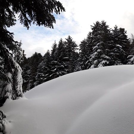 Apartamento Pyrénées - Le Nid d'Ax Ax-les-Thermes Exterior foto